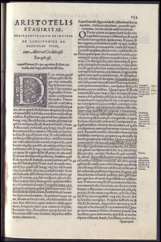 531