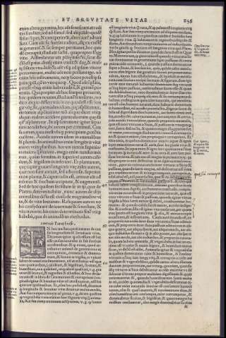533
