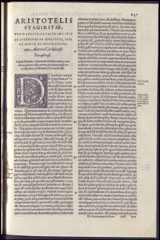535