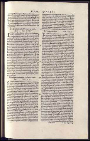 73