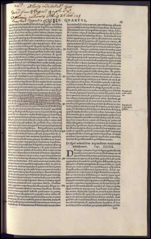 81