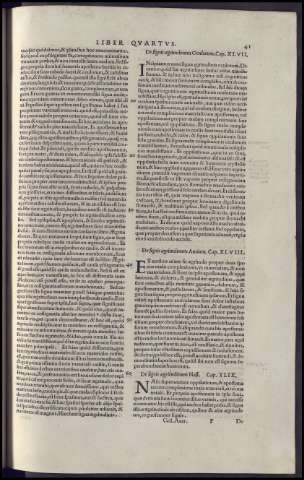 85