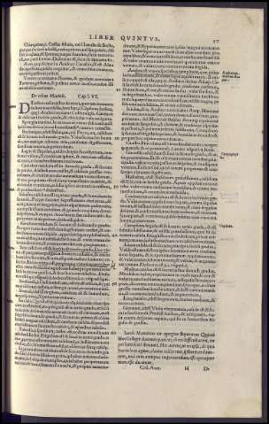 117