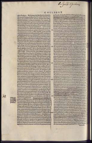146