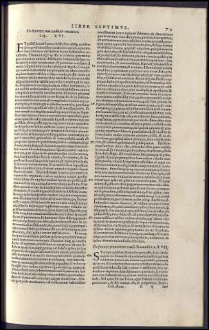 151
