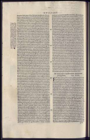 156