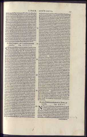 161