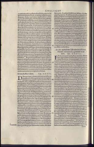 162