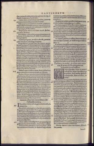 224