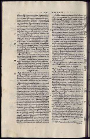 256
