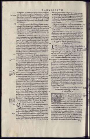 262