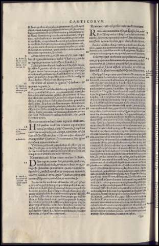 264