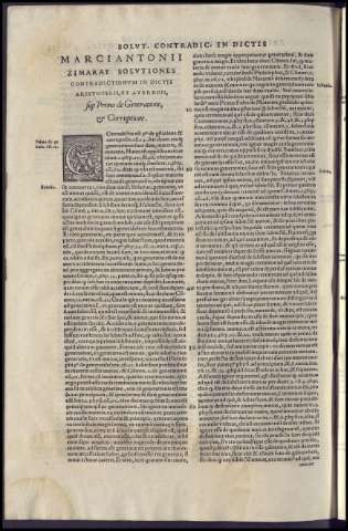 74