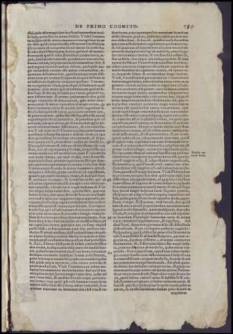 151