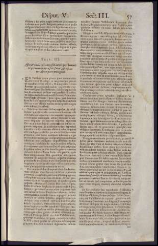 81