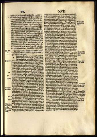 117