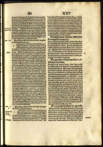 161