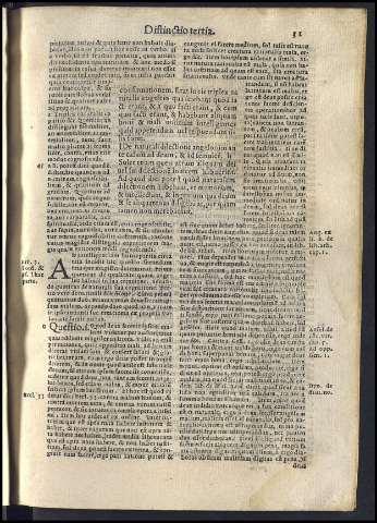 81