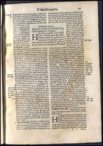 81