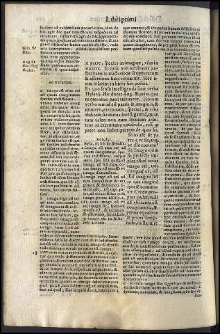 338
