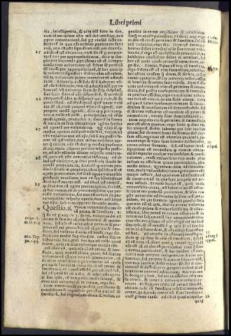 494