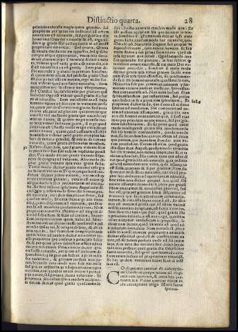 81