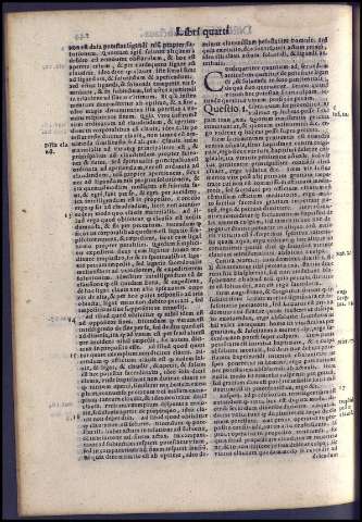 310