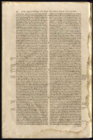 42