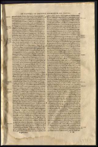 43