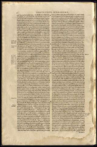 44