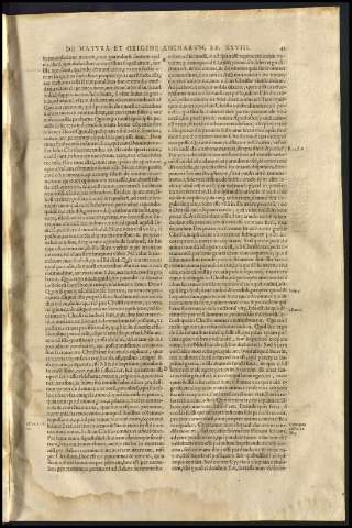 45