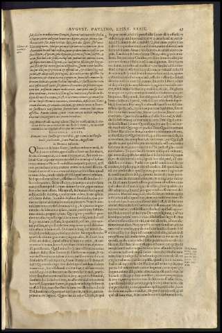 51