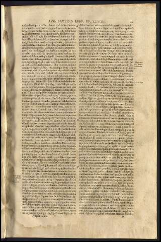 53