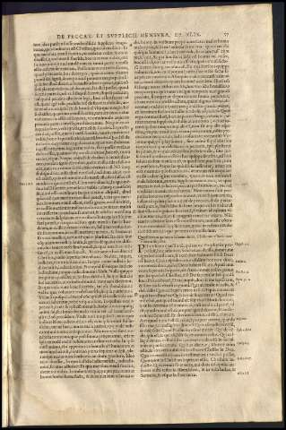 81
