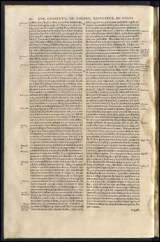 264