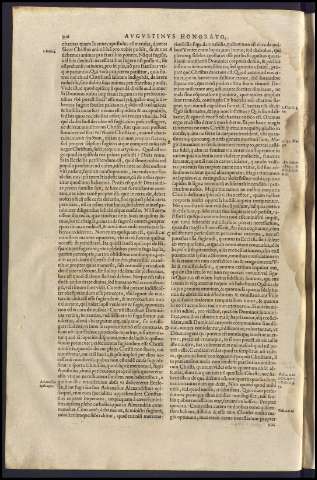 310