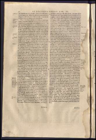 44