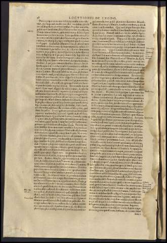 52