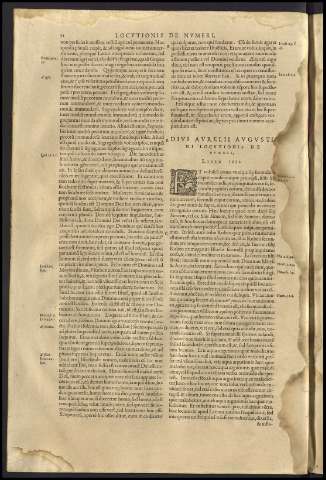 56