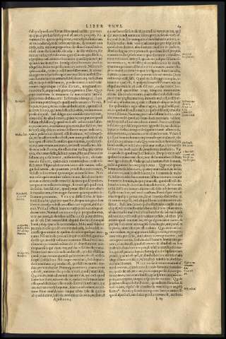 73