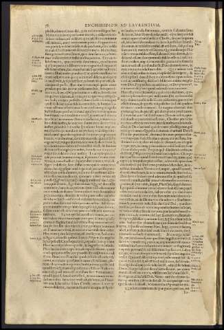 82