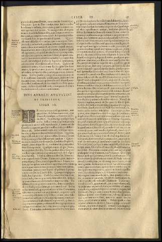 141