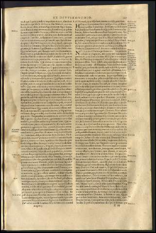 331