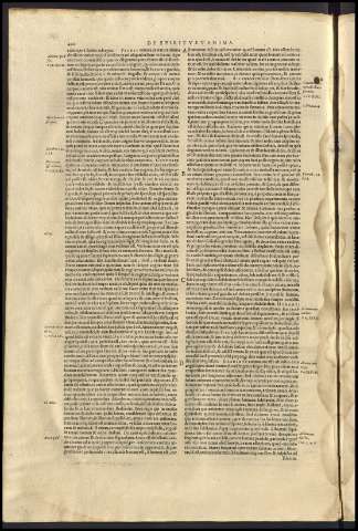 424