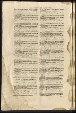 464
