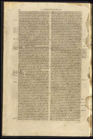 44