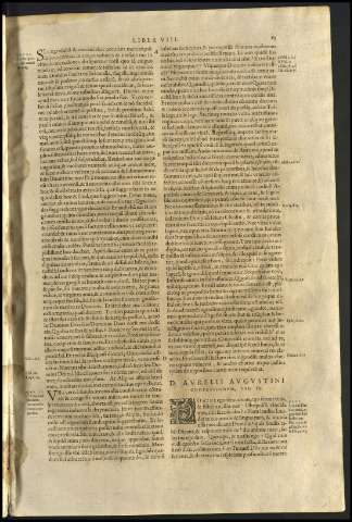 65