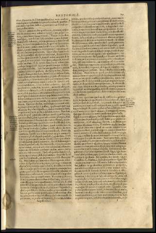 131