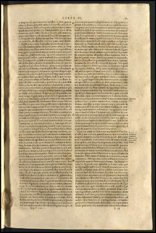 167