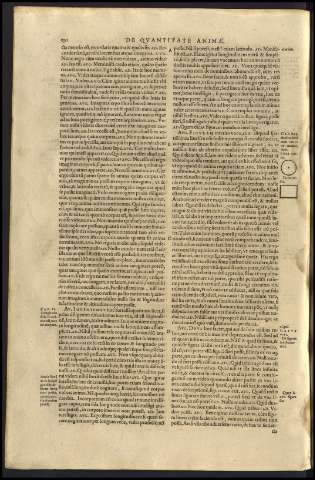252